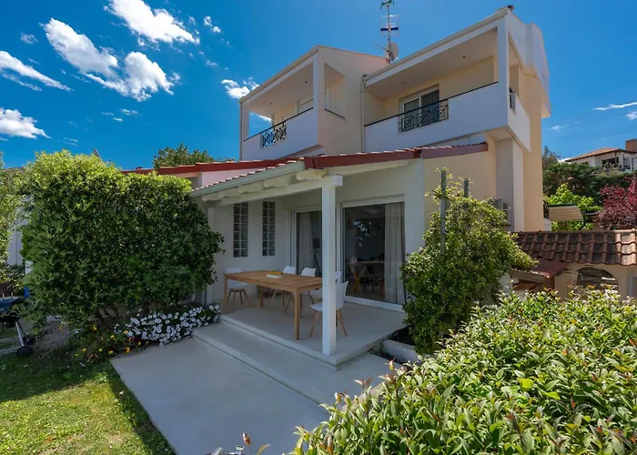 Ng Polichrono 波利克罗诺