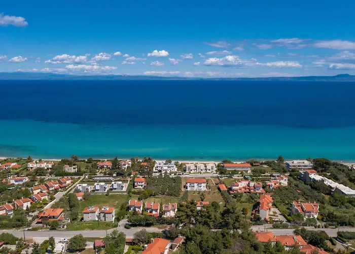 Ng Polichrono 波利克罗诺