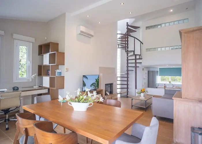 Ng Polichrono 波利克罗诺